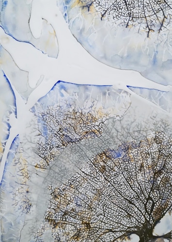 Meredith Knox Barineau, Fans,&nbsp;2015