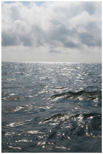 Michel Varisco, Wild Gulf, 2011