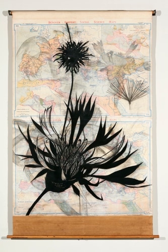 Suzi Davidoff, Roman Empire / Ara Pacis and Centaurea, 2017