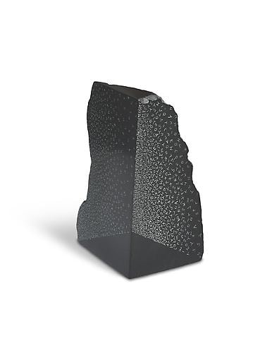 Gustavo Bonevardi Interior, 2011