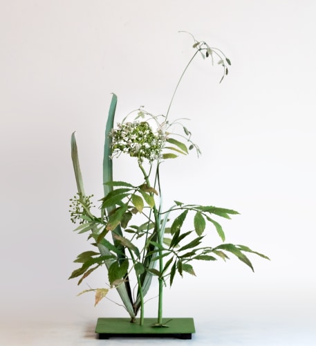 Carmen Almon Quaking Grass with Heible with Phalene Butterfly, 2019
