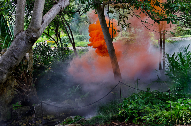 Irby Pace, Phytology, 2014