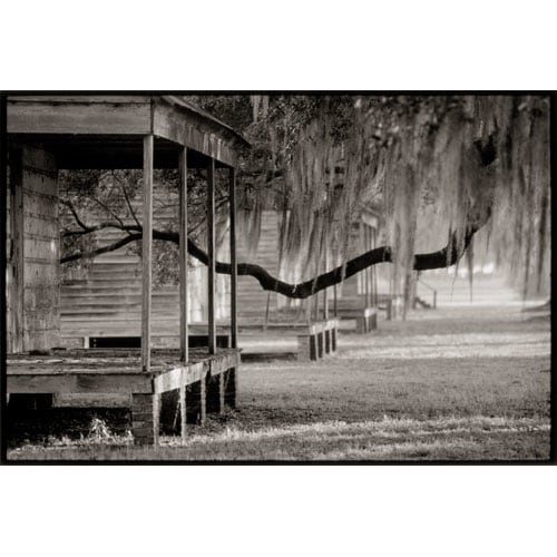 Joel Pickford Black Branch and Slave Quarters, Evergreen Plantation, 2000, 2013