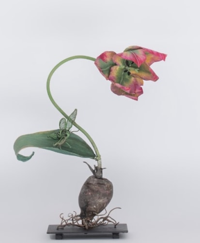 Carmen Almon, Pink, Yellow, and Green Tulip with Cicada, 2025