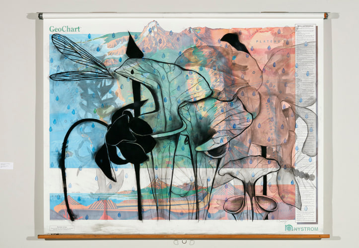 Suzi Davidoff, Geochart / Paris Accord and Pitcher Plants, 2017