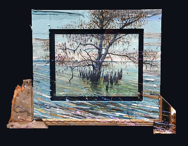 Nall Louisiana Bayou Cypress Tree