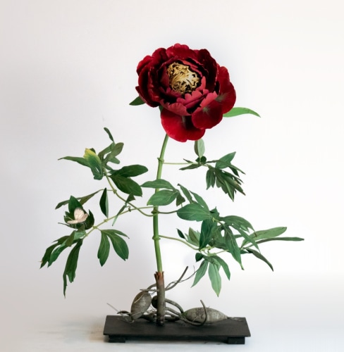 Carmen Almon Red Peony and Anthrocharis Butterfly, 2019