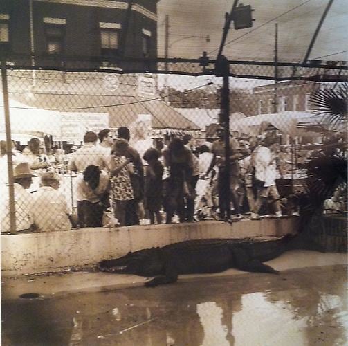 Contemporary Antiques