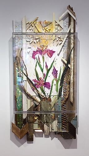 Nall Purple Water Iris, 2012