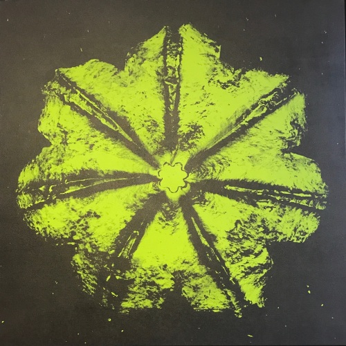 Rubem Robierb (1976), Power Flower N-4 (Pistachio on Black), 2016