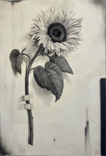 Emily Farish, Sunflower, 2021