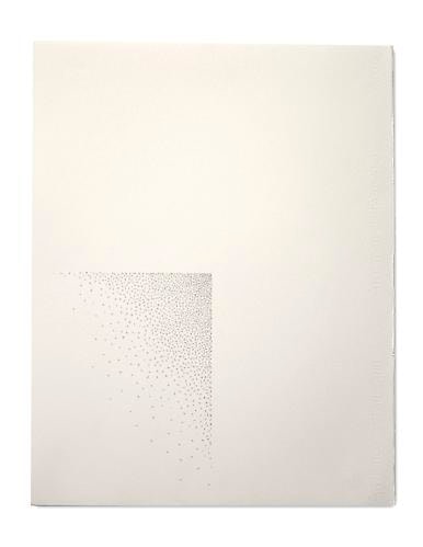 Gustavo Bonevardi Untitled, 2009