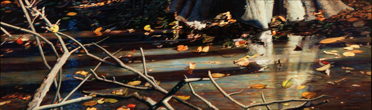 Adrian Deckbar, Transition,&nbsp;2013