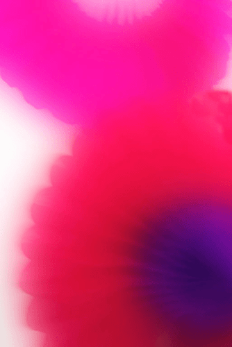 Shirine Gill Untitled, 2017