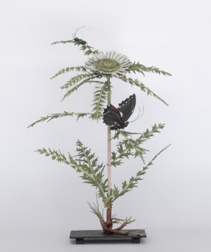 Carmen Almon, Carline Thistle with Eurytides, 2025