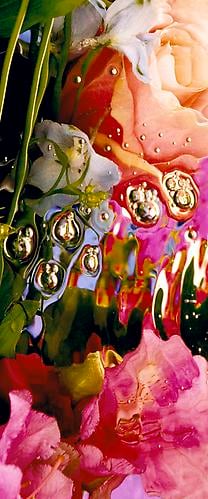 Elizabeth Kleinveld Summer's Dream