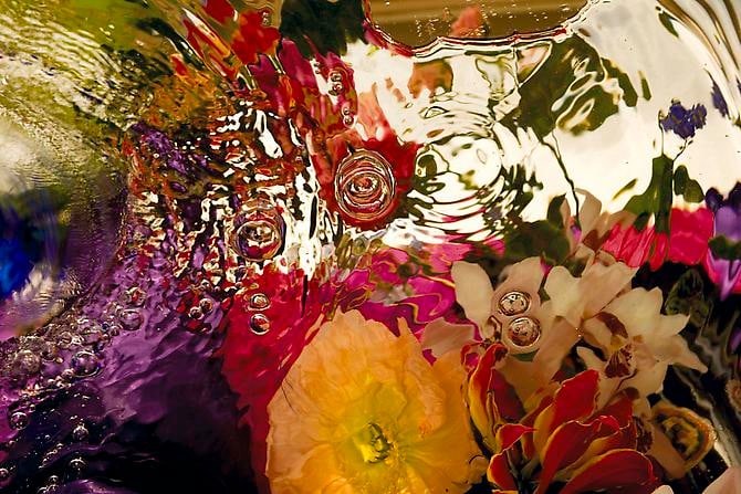 Elizabeth Kleinveld Spring Exuberance