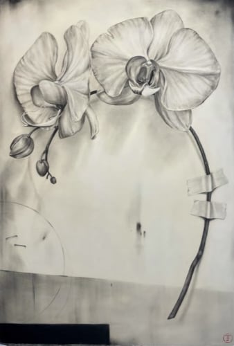 Emily Farish, Orchid, Two Blooms, 2021