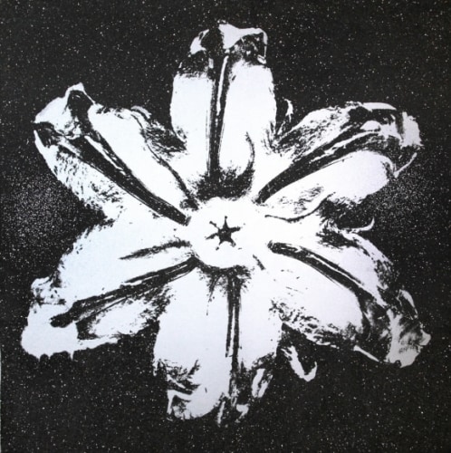 Rubem Robierb (1976), Power Flower (Silver on Black), 2016