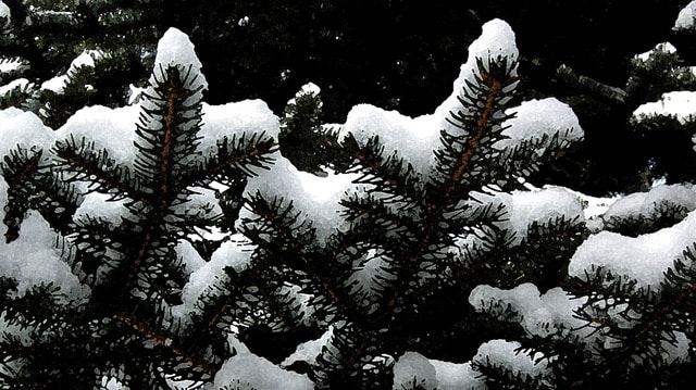 Kathryn Rabinow, Zen Snow,&nbsp;2011