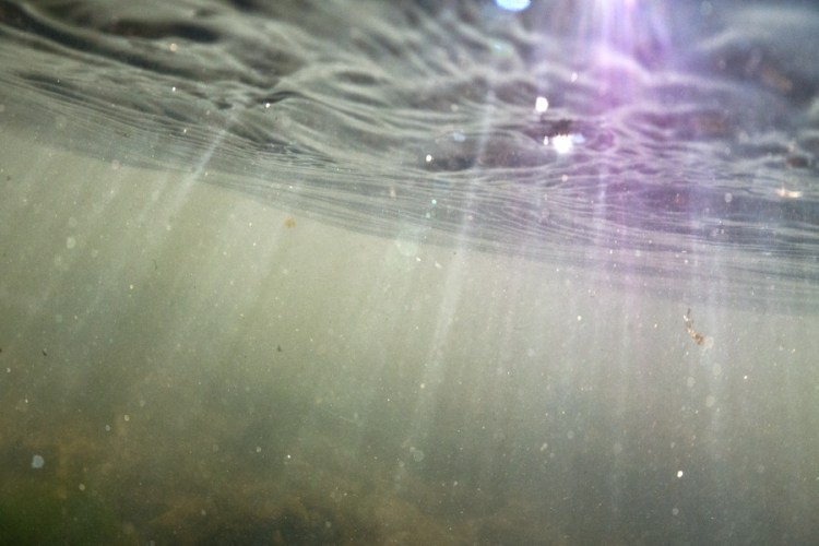 Michel Varisco, Alight, 2014