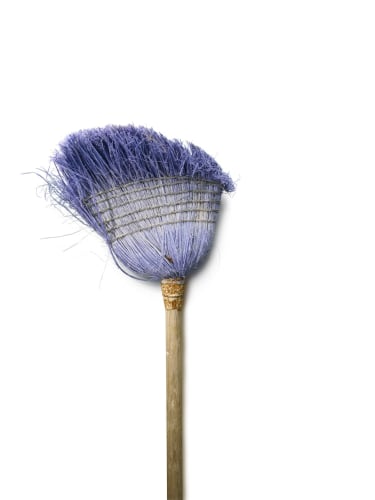 Chuck Ramirez, Bleached Lilac (Broom Series), 2007/2011