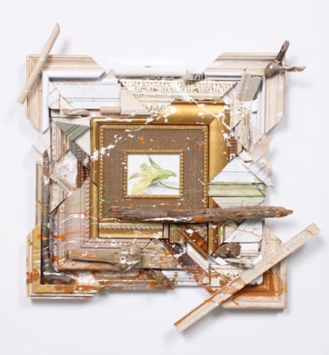 Nall White Orchid - Out of the Box