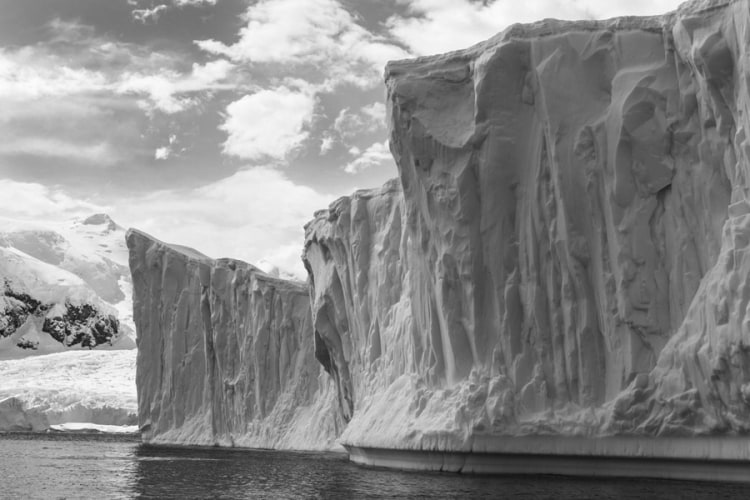 Tina Freeman, 20111207 Errera Channel 79-2, 2011