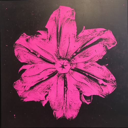 Rubem Robierb (1976), Power Flower N-3 (Pink on Black), 2016