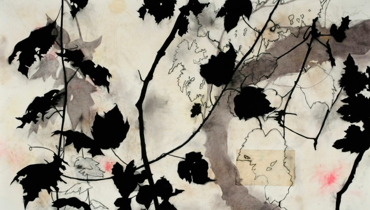 Suzi Davidoff, Madera Canyon Cycle - Grapevine, 10/2014 (716) 