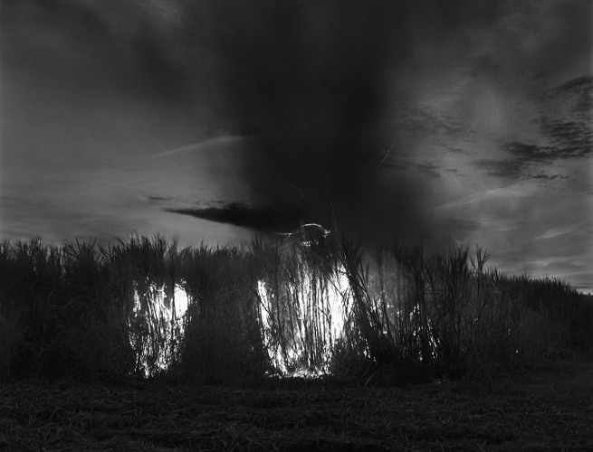 Bebbie Fleming Caffery, Circle of Fire, 1999