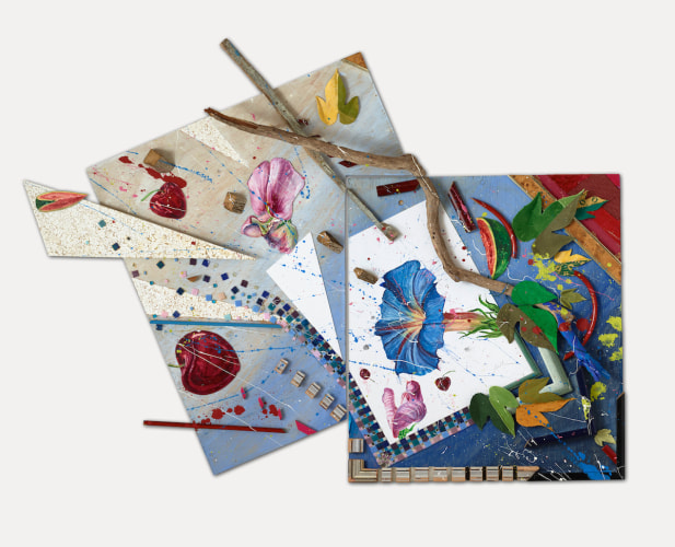 Nall Vence Morning Glory, 2014