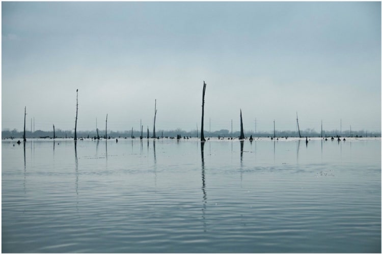 Michel Varisco, Bayou Bienvenue, 2014