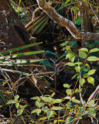 Adrian Deckbar, Beyond the Water&#039;s Edge,&nbsp;2011