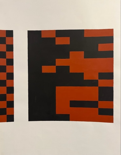 Ana Hernandez, Shadowbanning, 2021