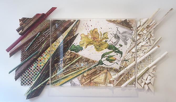 Nall Yellow Rose Decomposition Out of the Box, 2008