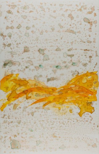 Julie Robinson Saints, 2015