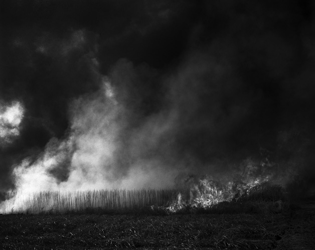 Debbie Fleming Caffery, Burning Cane #6, 2006