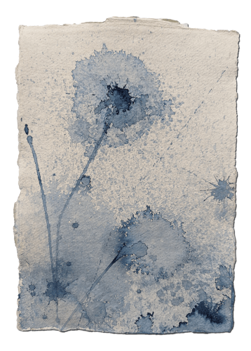 Gustavo Bonevardi, 220110.1, 2022