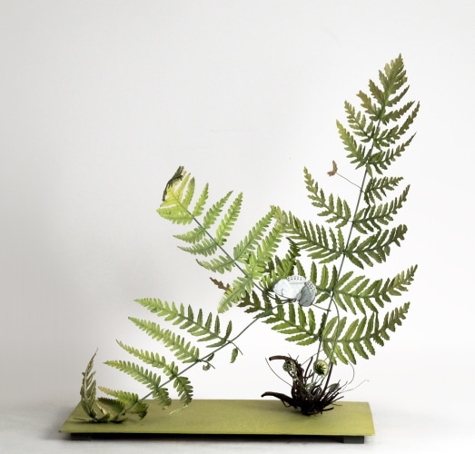 Carmen Almon Fern with Large White Butterfly, 2019