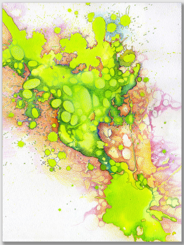 Rebecca Alston BF Algae 2, 2014