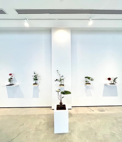 Installation view