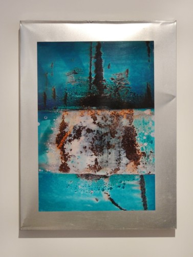 Beth Lambert Under Water Vision, 2012