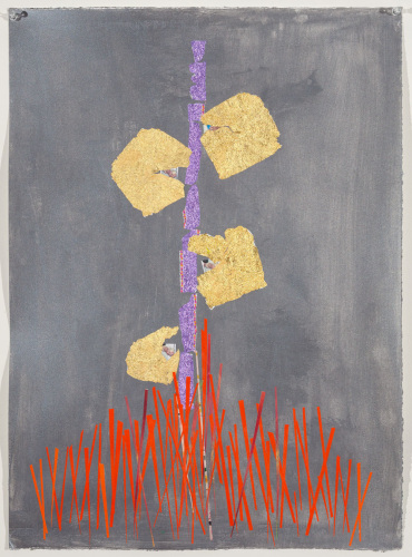 Wayne Amedee, Chrysalis IV, 2014