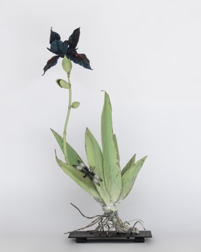Carmen Almon, Iris with Libellula Depressa, 2025