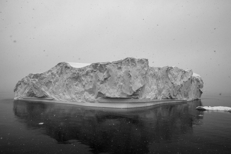 Tina Freeman, 20111204 Wilhelmina Bay 025-2, 2011