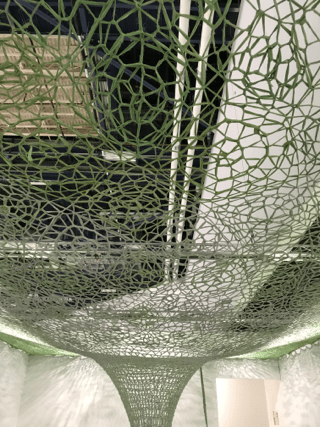 Ernesto Neto Close Up