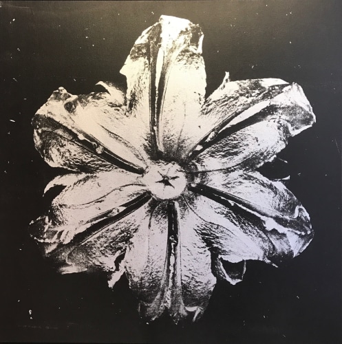 Rubem Robierb (1976), Power Flower N-1 (Silver on Black), 2016