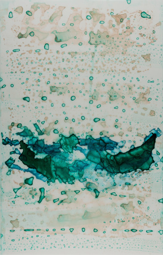 Julie Robinson Bayou, 2015