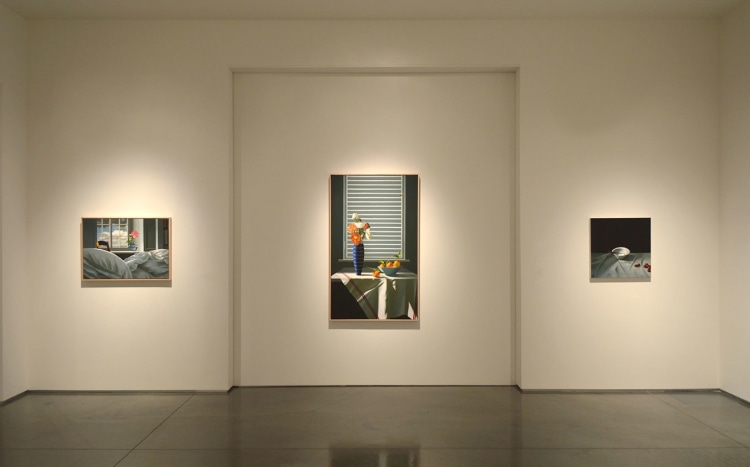 Installation view of Robert Graham